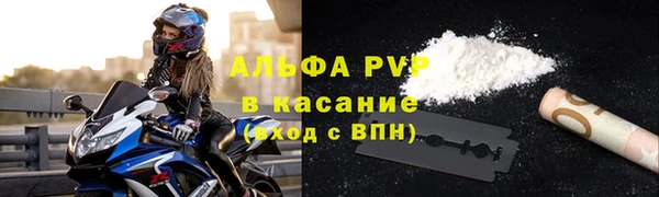 прущие грибы Каменка