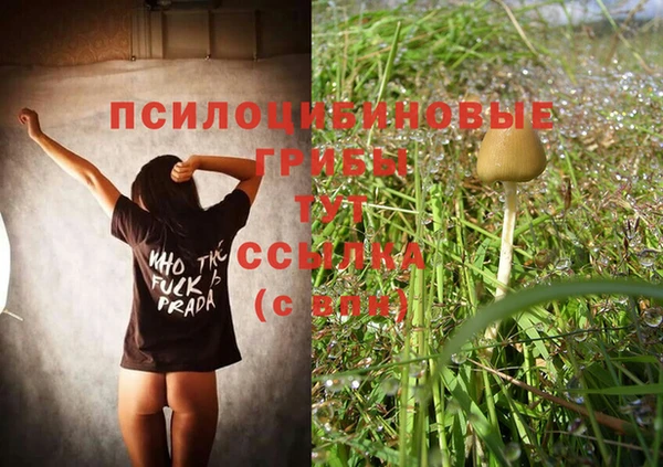 марки nbome Абаза
