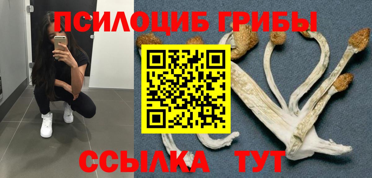 Воронеж  Галлюциногенные грибы мицелий  Вход с VPN  наркотики  Галлюциногенные грибы Psilocybine cubensis 